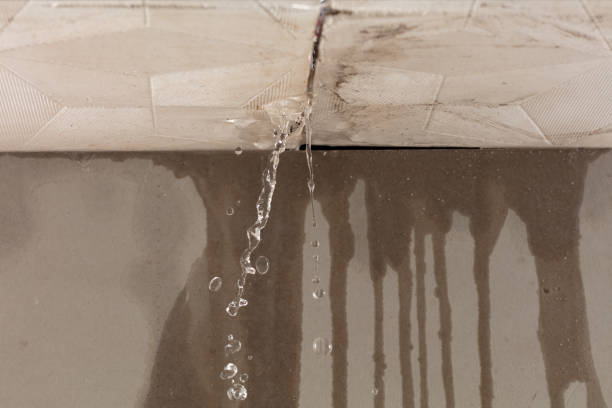 Professional Structural Drying technician working in Panna Maria, TX